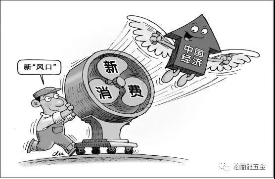 中產(chǎn)階層帶動新消費崛起，柏麗雅家居五金【定制】順時代而創(chuàng)新